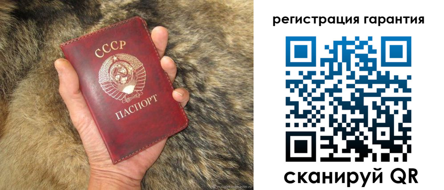 временная прописка в Кингисеппе